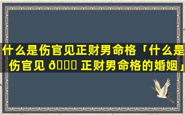 什么是伤官见正财男命格「什么是伤官见 🐅 正财男命格的婚姻」